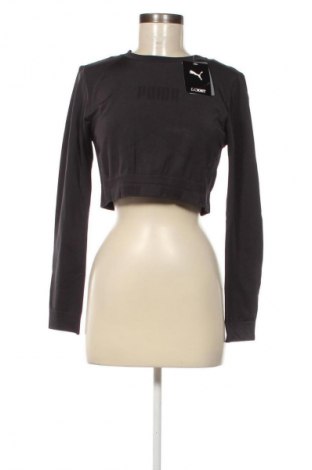 Damen Shirt PUMA, Größe XL, Farbe Grau, Preis € 7,99