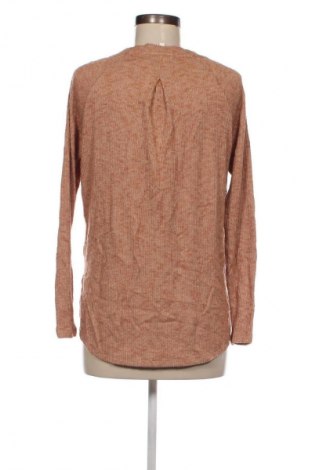 Damen Shirt Seed, Größe S, Farbe Braun, Preis € 5,29