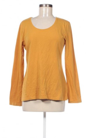 Damen Shirt Street One, Größe XL, Farbe Gelb, Preis € 23,99