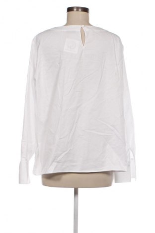 Damen Shirt Walbusch, Größe M, Farbe Weiß, Preis € 33,40