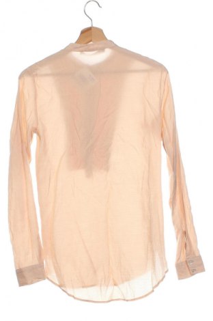 Damen Shirt Zara, Größe XS, Farbe Beige, Preis € 4,49