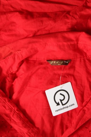 Damenbluse, Größe XXL, Farbe Rot, Preis € 8,15