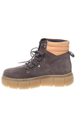 Damen Stiefeletten Ca'shott, Größe 37, Farbe Grau, Preis 68,99 €