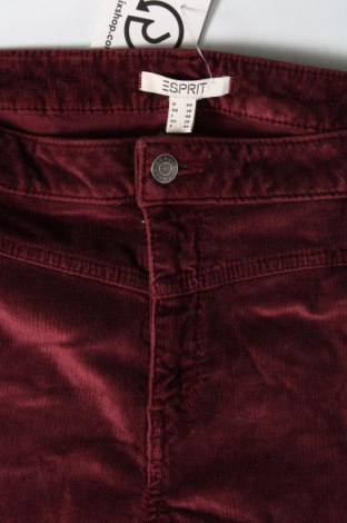 Pantaloni de velvet de femei Esprit, Mărime XL, Culoare Roșu, Preț 36,99 Lei