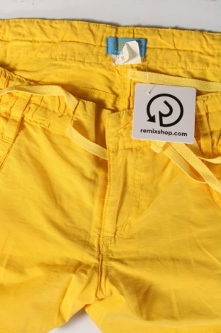 Damen Shorts, Größe L, Farbe Gelb, Preis € 4,99