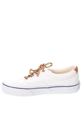 Damenschuhe Polo By Ralph Lauren, Größe 37, Farbe Weiß, Preis € 96,79