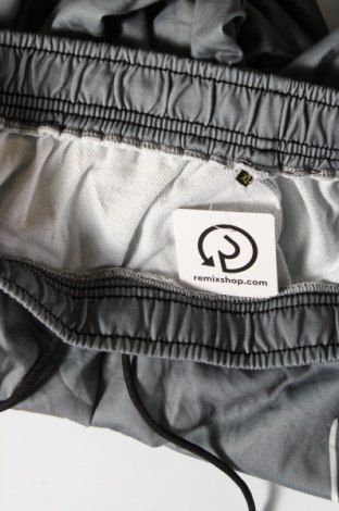 Damenhose, Größe XL, Farbe Grau, Preis € 6,99