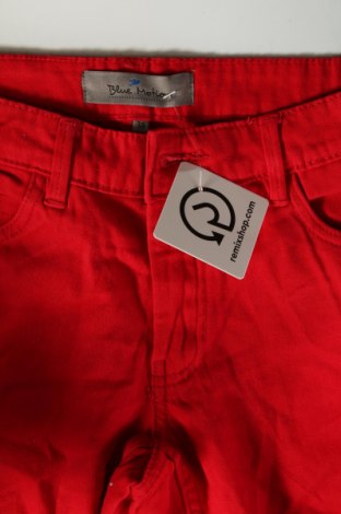 Damenhose Blue Motion, Größe M, Farbe Rot, Preis € 5,99