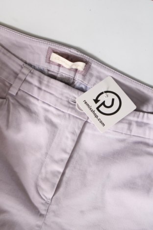 Damenhose Christian Berg, Größe M, Farbe Lila, Preis 10,99 €