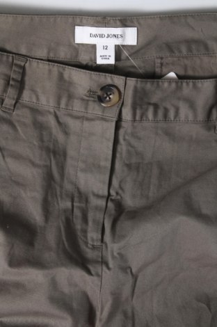 Damenhose David Jones, Größe M, Farbe Grün, Preis € 6,99