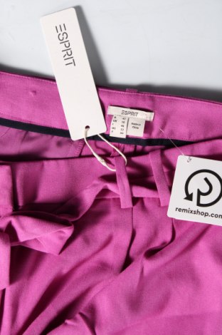 Damenhose Esprit, Größe L, Farbe Lila, Preis € 14,99