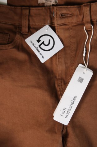 Damenhose Esprit, Größe S, Farbe Braun, Preis € 11,99