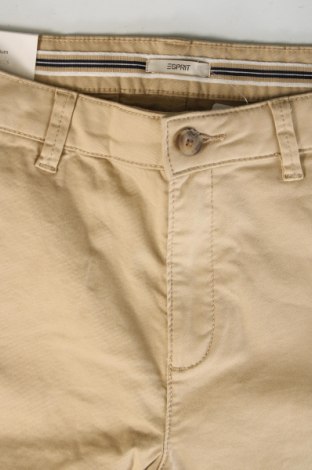 Damenhose Esprit, Größe XS, Farbe Beige, Preis € 13,99