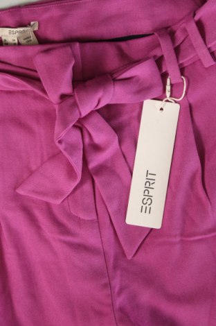 Damenhose Esprit, Größe XS, Farbe Lila, Preis € 14,99