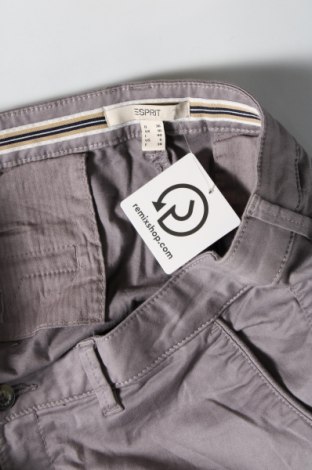 Damenhose Esprit, Größe L, Farbe Lila, Preis € 6,99