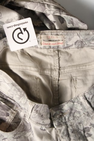 Damenhose Esprit, Größe M, Farbe Mehrfarbig, Preis € 6,99