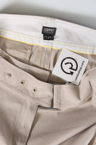 Damenhose Esprit, Größe XS, Farbe Beige, Preis € 6,99