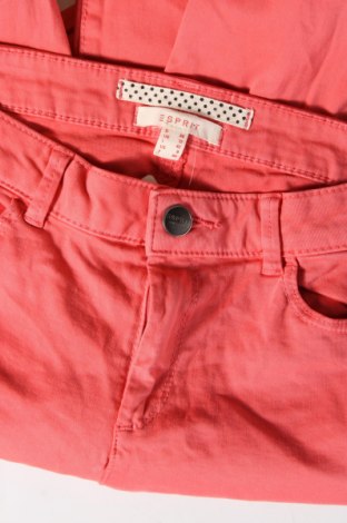 Damenhose Esprit, Größe M, Farbe Rosa, Preis 5,99 €