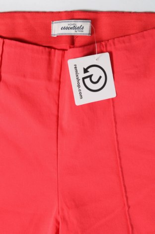 Damenhose Essentials, Größe M, Farbe Rot, Preis 6,99 €