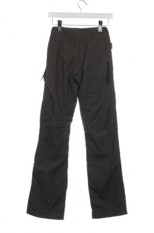 Damenhose Gotcha, Größe XXS, Farbe Grün, Preis 33,99 €