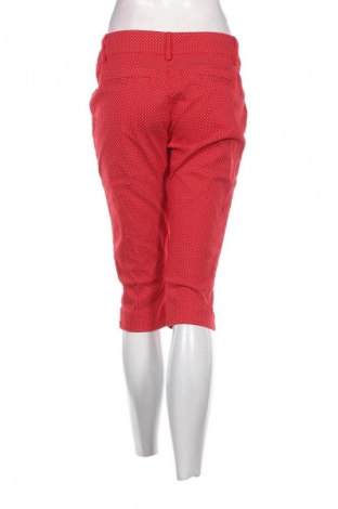 Damenhose Larry Levine, Größe M, Farbe Rot, Preis € 2,99