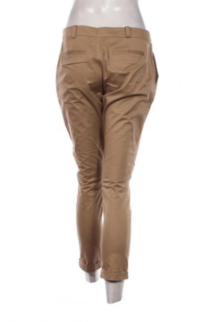 Damenhose Promod, Größe M, Farbe Braun, Preis 13,99 €