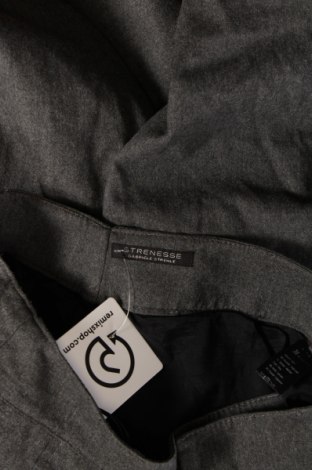 Damenhose Strenesse, Größe M, Farbe Grau, Preis 17,10 €