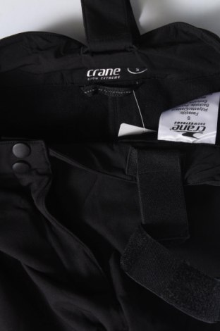 Damenhose für Wintersport Crane, Größe S, Farbe Schwarz, Preis € 23,99