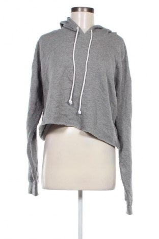 Damen Sweatshirt Wild Fable, Größe XL, Farbe Grau, Preis 5,99 €