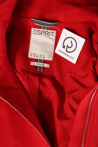 Damenmantel Esprit, Größe XL, Farbe Rot, Preis € 66,99