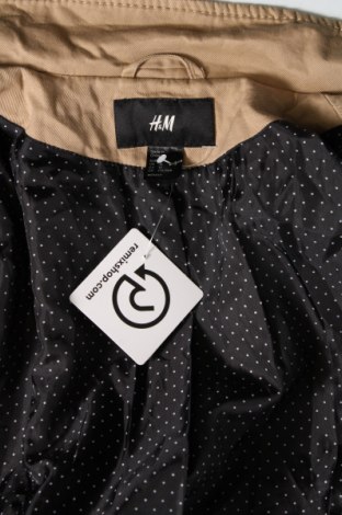 Dámský kabát  H&M, Velikost L, Barva Béžová, Cena  515,00 Kč