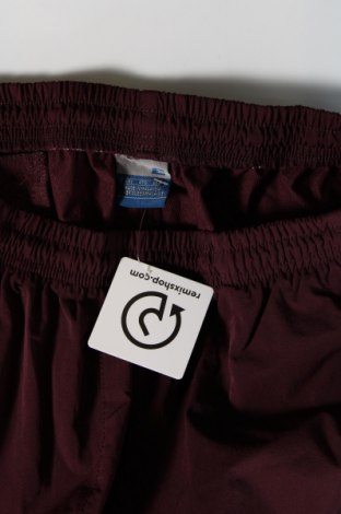 Damen Sporthose, Größe XXL, Farbe Lila, Preis € 4,99