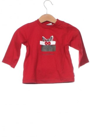 Kinder Shirt Mexx, Größe 6-9m/ 68-74 cm, Farbe Rot, Preis 2,99 €