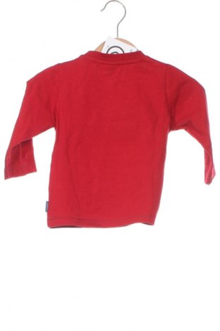 Kinder Shirt Mexx, Größe 6-9m/ 68-74 cm, Farbe Rot, Preis € 5,99