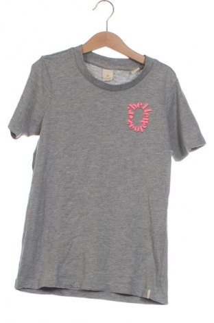 Kinder T-Shirt Scotch & Soda, Größe 10-11y/ 146-152 cm, Farbe Grau, Preis € 8,11