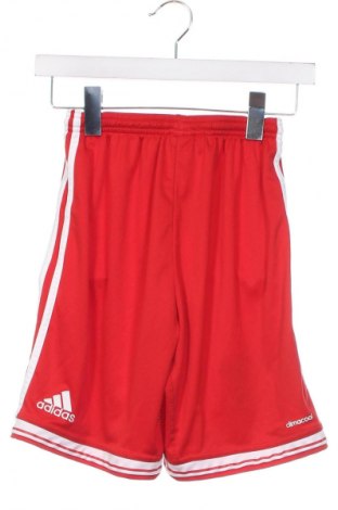 Παιδικό κοντό παντελόνι Adidas, Μέγεθος 12-13y/ 158-164 εκ., Χρώμα Κόκκινο, Τιμή 17,32 €