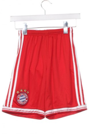 Kinder Shorts Adidas, Größe 12-13y/ 158-164 cm, Farbe Rot, Preis 19,48 €