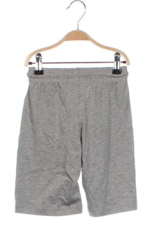 Kinder Shorts Champion, Größe 3-4y/ 104-110 cm, Farbe Grau, Preis 20,10 €