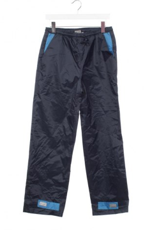 Pantaloni de trening, pentru copii Free, Mărime 14-15y/ 168-170 cm, Culoare Albastru, Preț 20,99 Lei