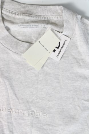 Ανδρικό t-shirt Abercrombie & Fitch, Μέγεθος L, Χρώμα Γκρί, Τιμή 28,99 €