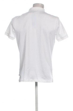 Herren T-Shirt Calvin Klein, Größe M, Farbe Weiß, Preis € 37,49