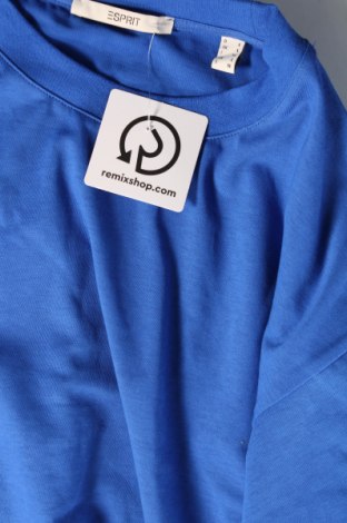 Herren T-Shirt Esprit, Größe L, Farbe Blau, Preis 15,98 €