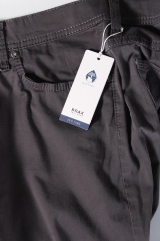 Herrenhose Brax, Größe L, Farbe Grau, Preis € 11,99