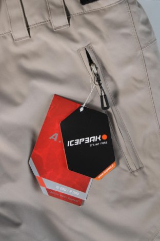 Pánske nohavice pre zimné sporty  Icepeak, Veľkosť L, Farba Béžová, Cena  55,95 €