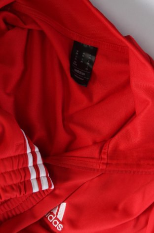 Pánská sportovní souprava Adidas, Velikost XXL, Barva Červená, Cena  1 183,00 Kč