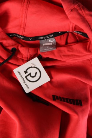 Herren Sweatshirt PUMA, Größe L, Farbe Rot, Preis 24,99 €