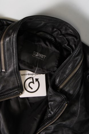 Herren Lederjacke Esprit, Größe XL, Farbe Schwarz, Preis € 79,99