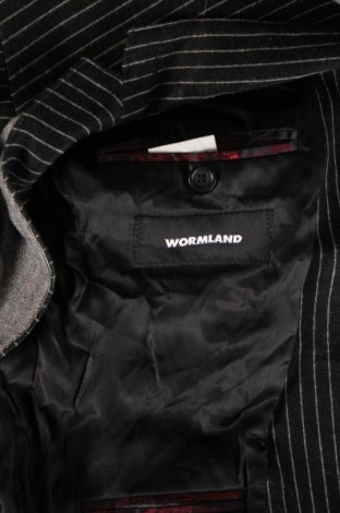 Herren Sakko Wormland, Größe L, Farbe Mehrfarbig, Preis € 6,99