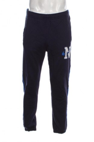 Herren Sporthose, Größe L, Farbe Blau, Preis € 7,99