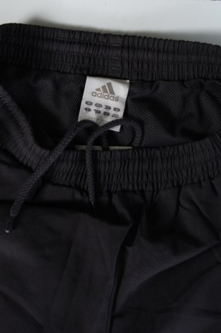 Pantaloni trening de bărbați Adidas, Mărime XS, Culoare Albastru, Preț 68,99 Lei